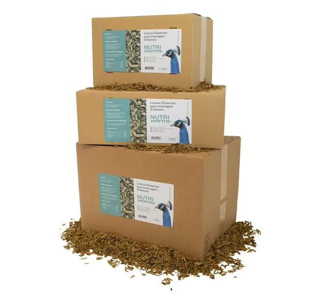 Nutri Worms - Larves d'insectes soufflées pour les poules